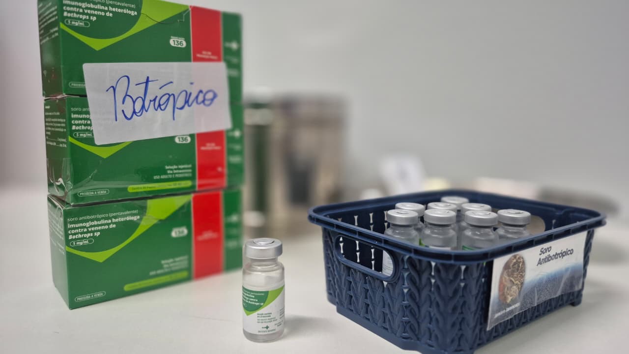 Imagem remédio e frascos dentro de recipiente