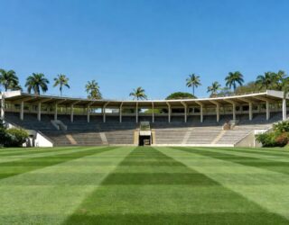 Técnico Daniel Paulista - Goiás (Foto - Rosiron Rodrigues)
