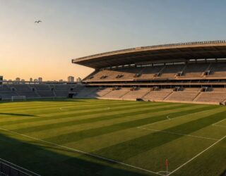 Torcida do Goiás no Estádio Serra Dourada (Foto - Rosiron Rodrigues)