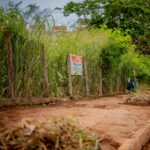 (Foto: Paulo de Tarso / Prefeitura de Anápolis)