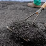 (Foto: Paulo de Tarso / Prefeitura de Anápolis)