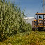 (Foto: Paulo de Tarso / Prefeitura de Anápolis)