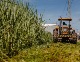 (Foto: Paulo de Tarso / Prefeitura de Anápolis)