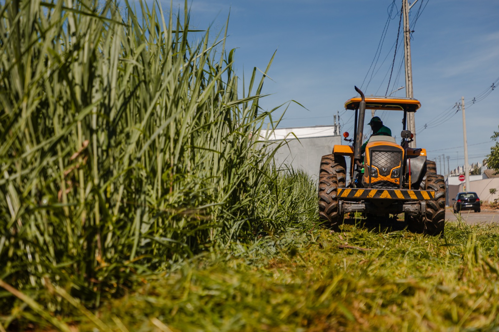 (Foto: Paulo de Tarso / Prefeitura de Anápolis)