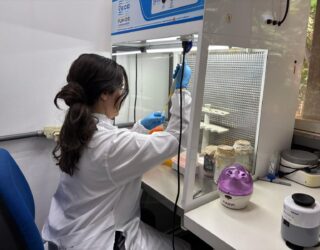 Prazo vai até o dia 18 de maio. Programa Goiás pelo Mundo – Mestrado Internacional oferece até cinco bolsas para cursos presenciais em instituições estrangeiras (Foto: Fapeg)