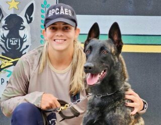 Goiânia recebe programação gratuita da 2ª Cãominhada do BPCães no próximo domingo (17/5), reunindo esporte, cães policiais, feira de adoção e atrações culturais voltadas à inclusão social (Foto: )