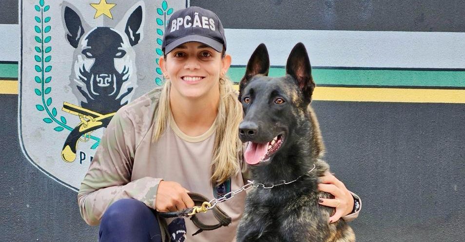 Goiânia recebe programação gratuita da 2ª Cãominhada do BPCães no próximo domingo (17/5), reunindo esporte, cães policiais, feira de adoção e atrações culturais voltadas à inclusão social (Foto: )