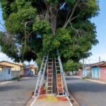 Sgt. Aurélio usou conhecimentos adquiridos em treinamentos da corporação para socorrer vítima que estava inconsciente e apresentava sinais de asfixia. (Foto: Arquivo pessoal/Divulgação Polícia Militar)