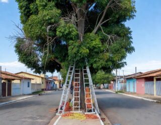 Sgt. Aurélio usou conhecimentos adquiridos em treinamentos da corporação para socorrer vítima que estava inconsciente e apresentava sinais de asfixia. (Foto: Arquivo pessoal/Divulgação Polícia Militar)