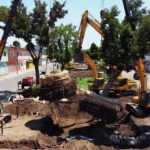Iniciativa aposta na realocação de vegetação adulta para fortalecer a paisagem urbana e reduzir impactos ambientais. (Foto: Montagem/Reprodução/Prefeitura de Anápolis)