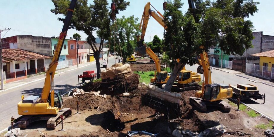 Prefeitura de Anápolis já transplantou 17 árvores adultas em obras urbanas