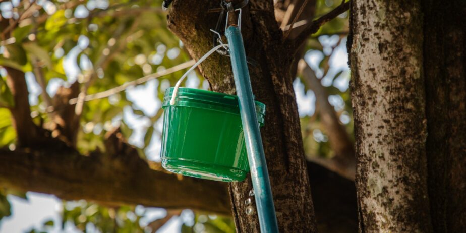 Baldinhos verdes espalhados por Anápolis fazem parte de estratégia contra a dengue