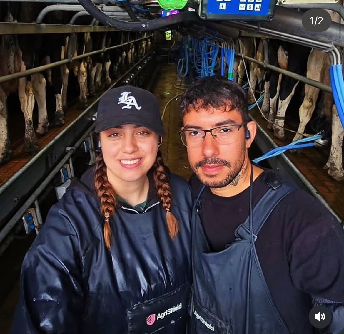 Imagem de um casal, a moça usa tranças no cabelo, boné, roupa preta e avental. O homem está de óculos de grau, roupa preta e avental. Ao fundo o local de trabalho com inúmeras vacas leiteiras.
