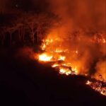 Imagem de floresta em chamas