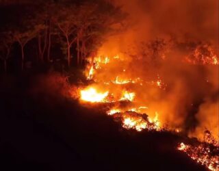 Imagem de floresta em chamas