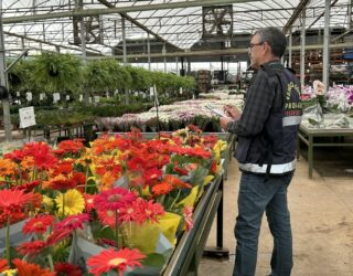 Imagem de um funcionário do Procon, realizando pesquisa em uma floricultura. Flores de diversas cores em uma bancada.