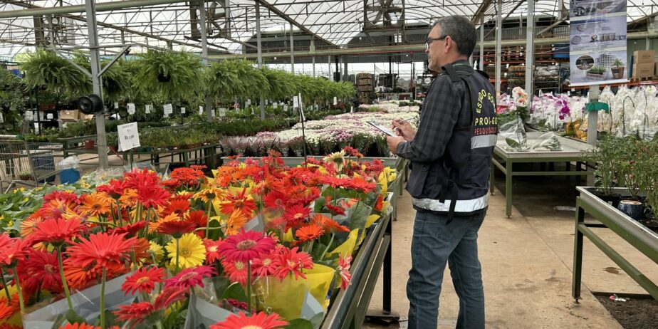 Imagem de um funcionário do Procon, realizando pesquisa em uma floricultura. Flores de diversas cores em uma bancada.