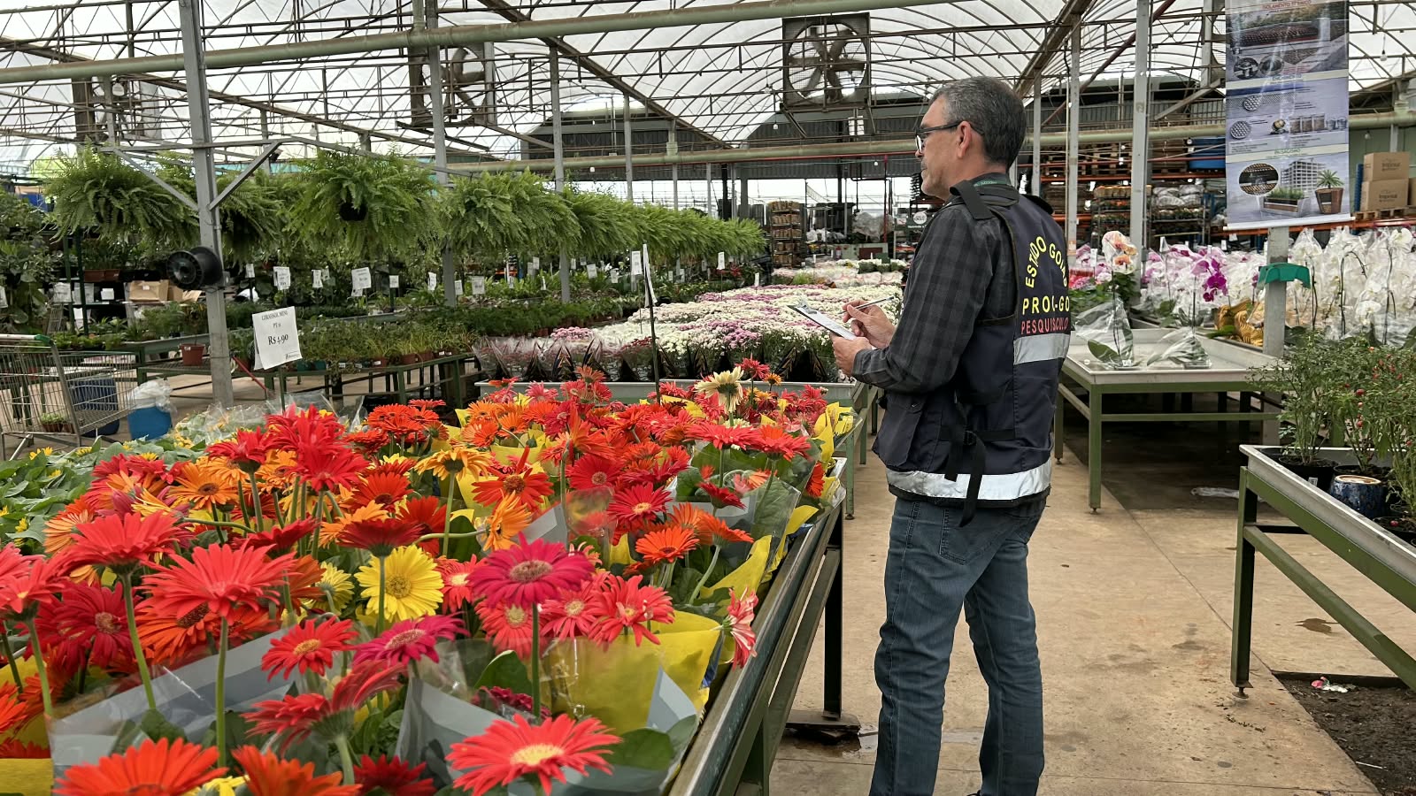 Imagem de um funcionário do Procon, realizando pesquisa em uma floricultura. Flores de diversas cores em uma bancada.